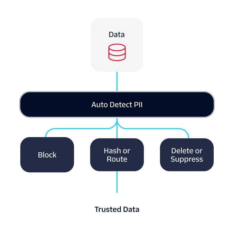 Diagram showing a data flow with auto PII detection leading to block, hash or route, and delete or suppress actions